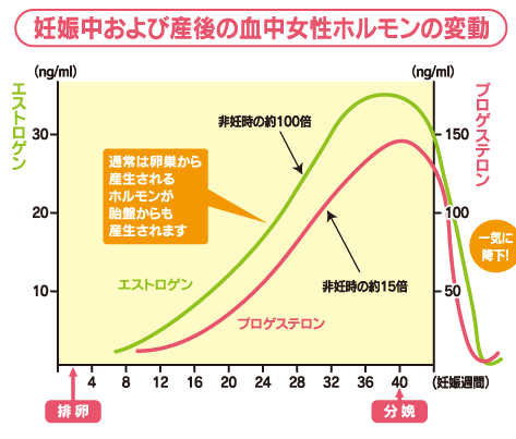 産後のホルモンの変化