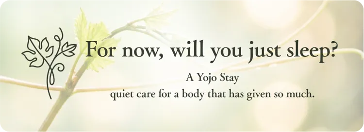 Yojo Stay