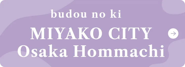 MIYAKO CITY Osaka Hommachi